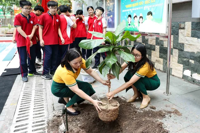 Trồng cây bàng vuông để thêm yêu biển đảo quê hương - Ảnh 1.