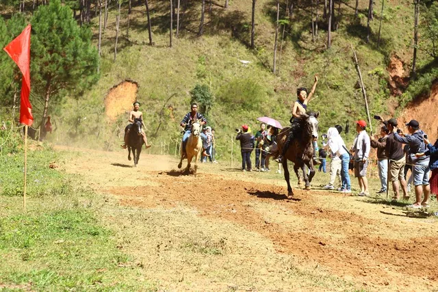 Sẽ tổ chức Ngày hội Cỏ hồng và giải đua ngựa không yên chào mừng Festival Hoa Đà Lạt - Ảnh 3.