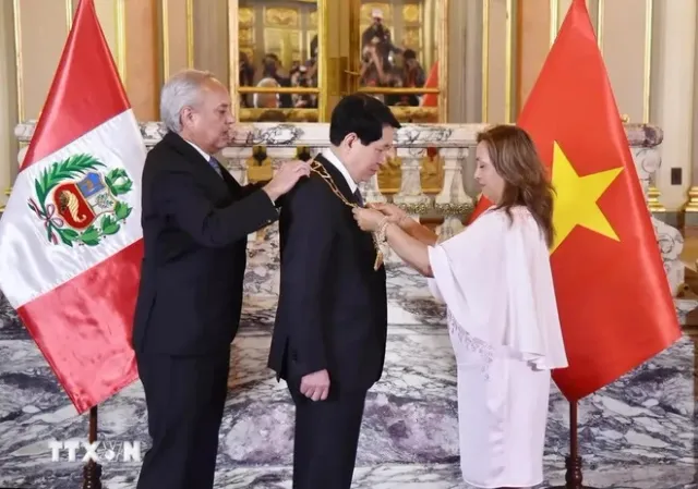 State President’s Chile, Peru trip a success: official - Ảnh 1.