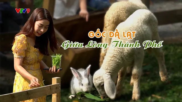 Góc Nhỏ Sài Gòn - Mùa 2 (tập 49)