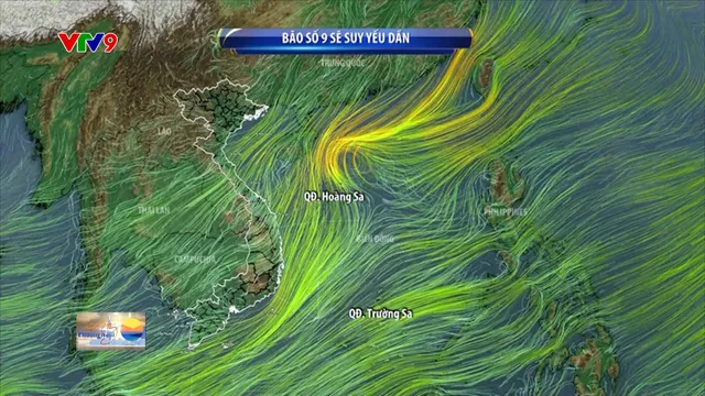 Thời sự: Sáng Phương Nam (19/11/2024)