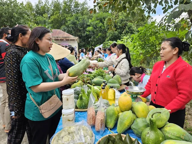 Bình Định: Triển lãm 103 bức ảnh giới thiệu hình ảnh thiên nhiên, con người, văn hóa đồng bào Chăm Hroi - Ảnh 2.