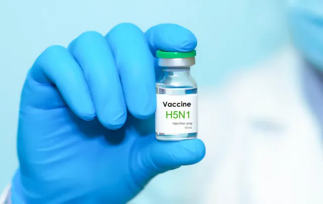 Anh chuẩn bị 5 triệu liều vaccine phòng ngừa đại dịch cúm gia cầm - Ảnh 1.