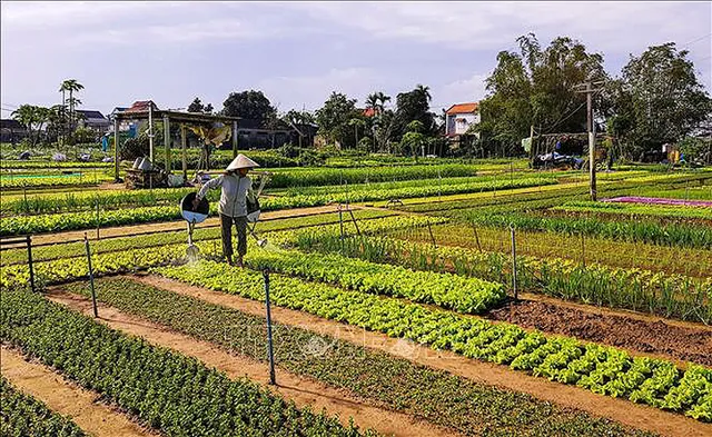 Lần đầu tiên Việt Nam đăng cai tổ chức Hội nghị quốc tế về Du lịch nông thôn - Ảnh 1.