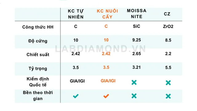 Cùng người Việt chạm tay vào giấc mơ Kim cương - Ảnh 3.