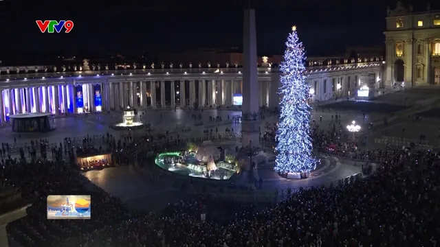 Vatican thắp sáng cây thông Noel và hang đá