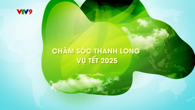 Canh tác thông minh - Số 49: Chăm sóc thanh long vụ tết 2025