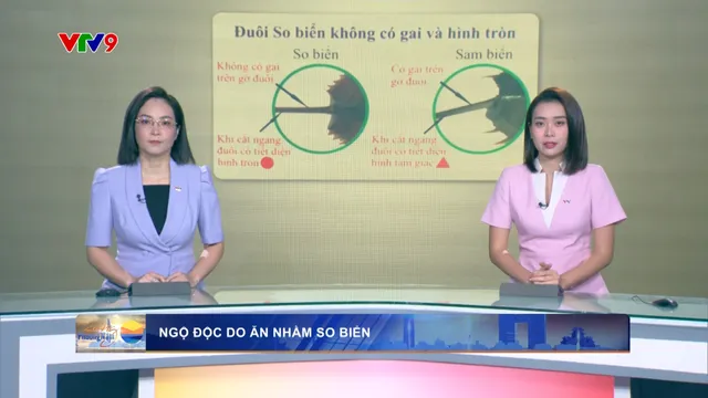 Thời sự: Sáng Phương Nam (12/12/2024)