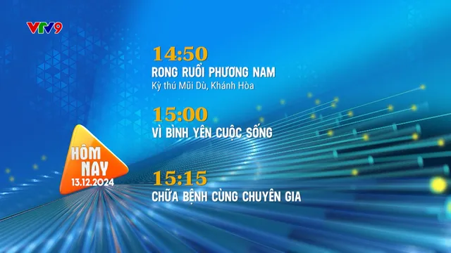 Giới thiệu: Chương trình hàng ngày (13/12/2024)