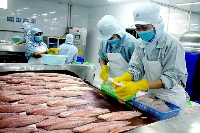 Xuất khẩu cá tra Việt Nam: Tăng trưởng ổn định, hướng đến mốc 2 tỷ USD năm 2024