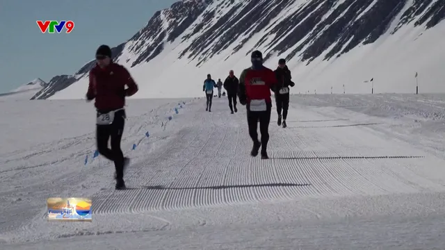 Cuộc thi marathon ở Nam Cực