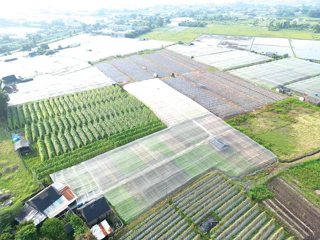 Miễn thuế sử dụng đất nông nghiệp đến hết năm 2030: Đề xuất của Bộ Tài chính