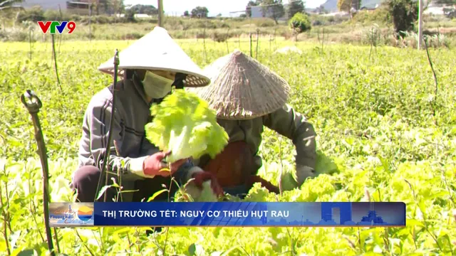 Nguy cơ thiếu hụt rau thị trường Tết