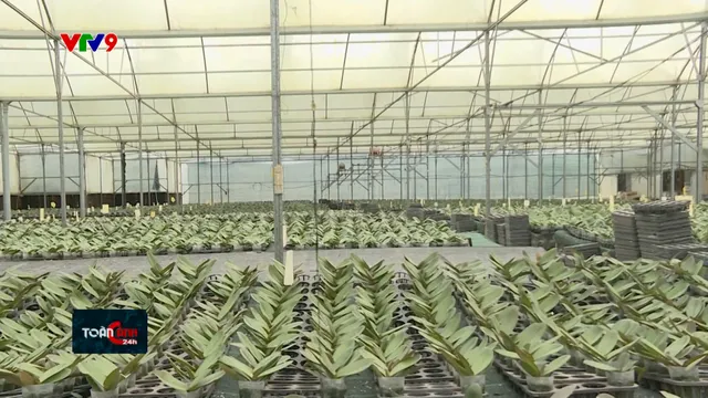 Đồng Nai phát triển nông sản theo chuỗi giá trị hàng hóa