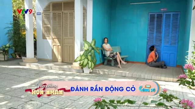 Tám Công Sở_Văn Phòng Hôn Nhân (tập 48)