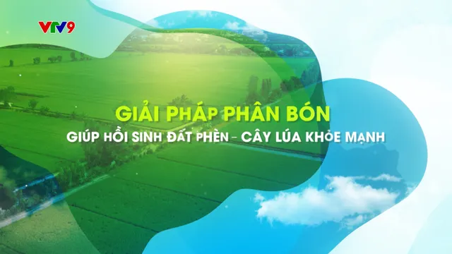 Canh tác thông minh - Số 1/2025: Giải pháp phân bón giúp hồi sinh đất phèn, cây lúa khỏe mạnh