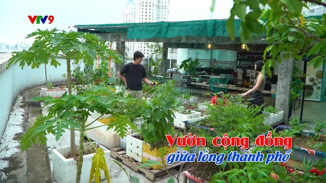 Thành phố ấm áp tình người - Số 1/2025: Vườn cộng đồng giữa lòng thành phố