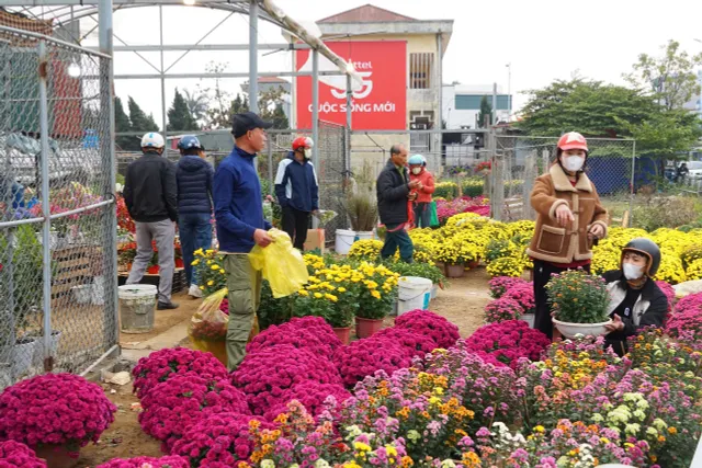 Hoa khoe sắc ở làng hoa Vũ Chính