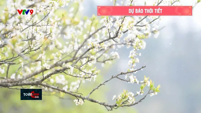 Dự báo thời tiết tối (29/01/2025)