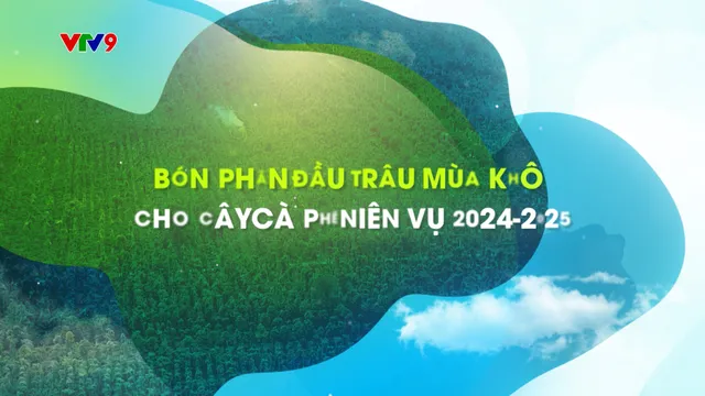 Canh tác thông minh - Số 3/2025: Bón phân đầu trâu mùa khô cho cây cà phê niên vụ 2024-2025