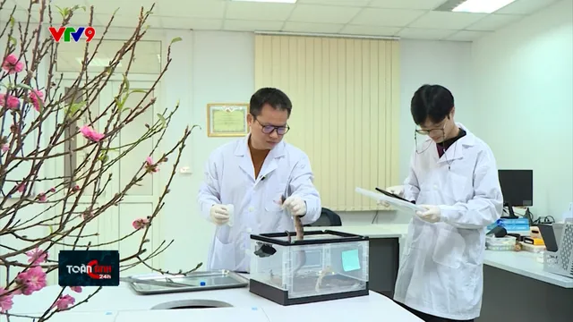 “Tiến sĩ rắn" và niềm đam mê khám phá các loài rắn độc