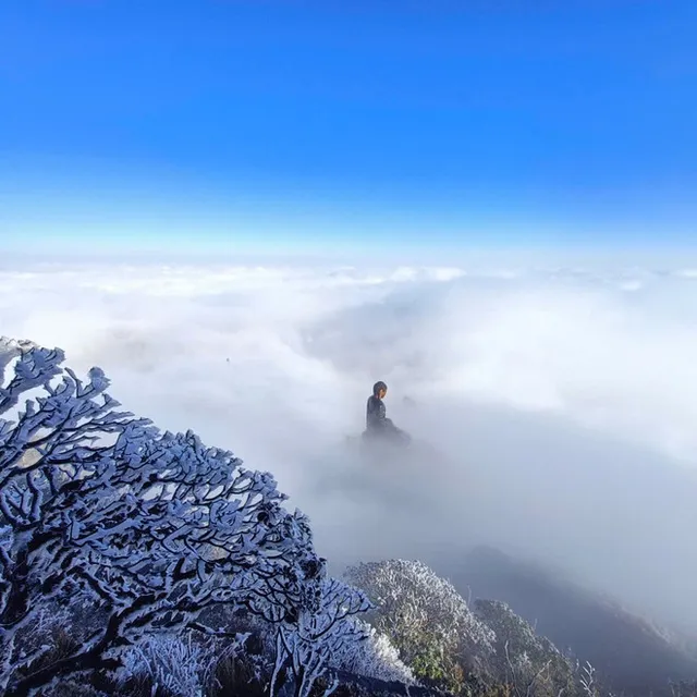 Mount. Fansipan coated in frost in first days of new year - Ảnh 4.
