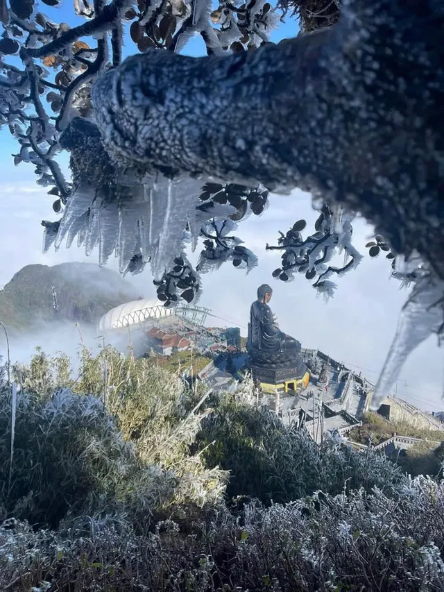 Mount. Fansipan coated in frost in first days of new year - Ảnh 1.