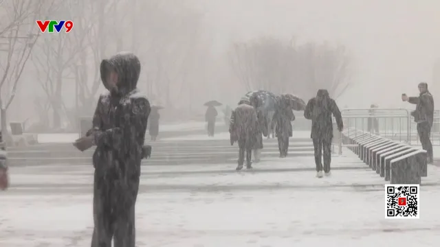 Tuyết rơi dày tại Hàn Quốc, Nhật Bản