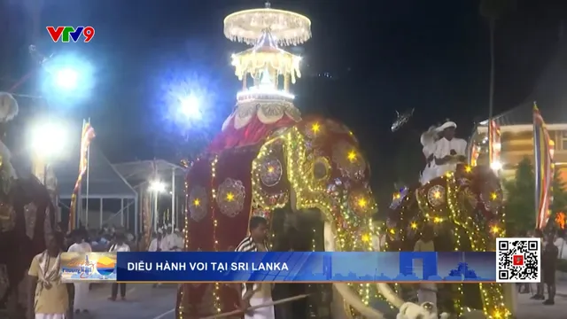 Diễu hành voi tại Sri Lanka