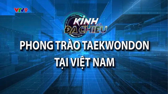 Kính đa chiều_Phong trào Taekwondon tại Việt Nam