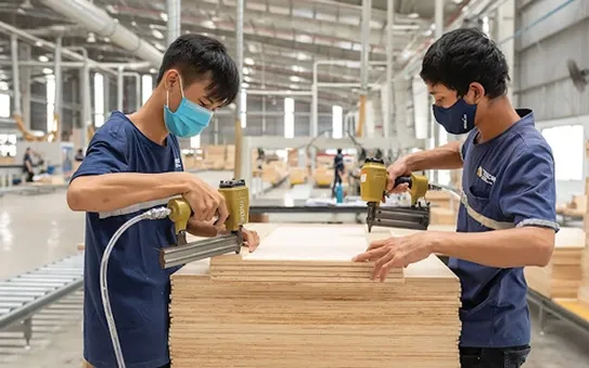 Kinh tế Doanh nghiệp gỗ đứng ngồi không yên