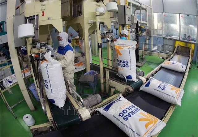 Vietnam seeks to diversify markets to reduce export risks - Ảnh 1.