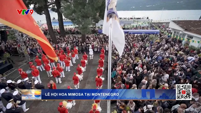 Lễ hội hoa mimosa tại Montenegro