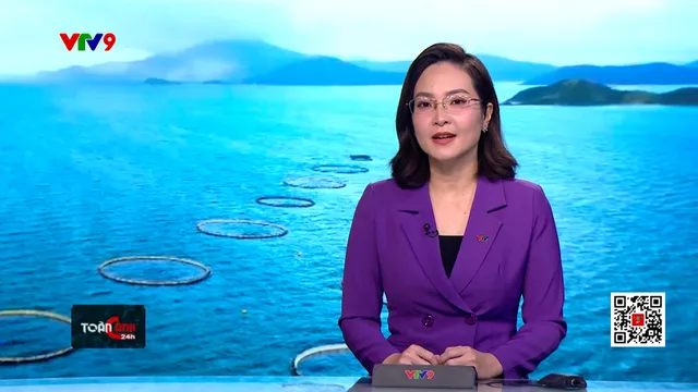 Thời sự: Toàn cảnh 24h (22/02/2025)