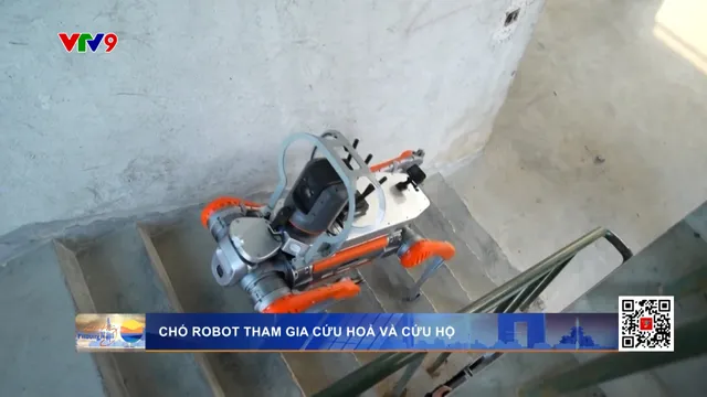 Chó robot tham gia cứu hoả và cứu hộ