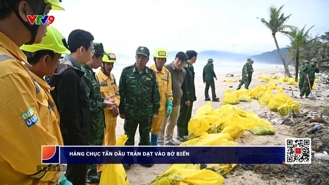 Dầu vón cục dạt vào 14 km bờ biển Huế và Quảng Nam