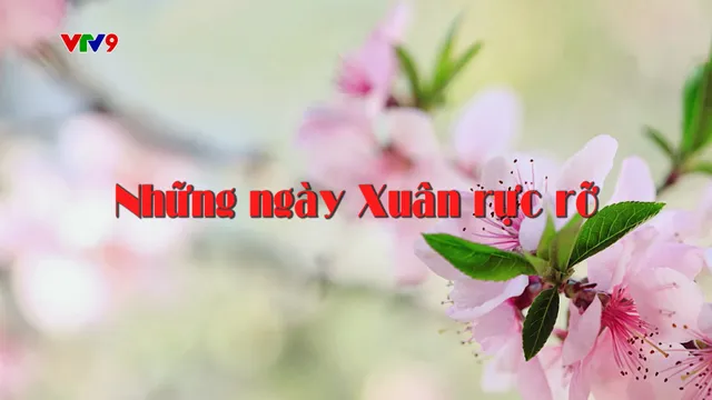 Ca nhạc-Những ngày xuân rực rỡ