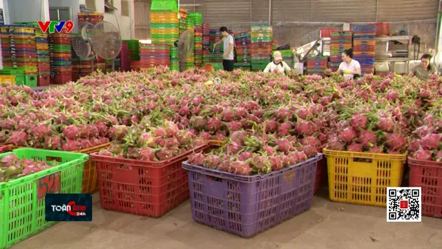 Thời sự: Toàn cảnh 24h (28/02/2025)