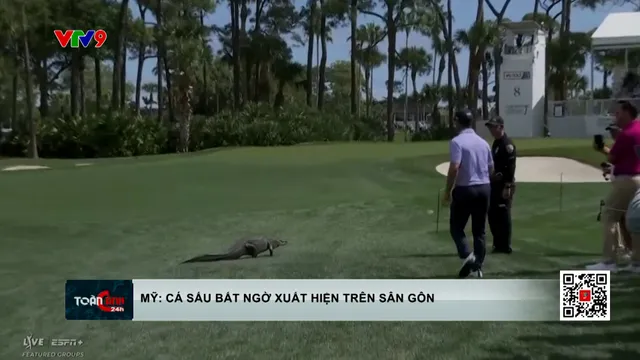 Mỹ: Cá sấu bất ngờ xuất hiện trên sân golf