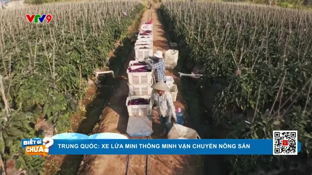 Trung Quốc: Xe lửa mini thông minh vận chuyển nông sản