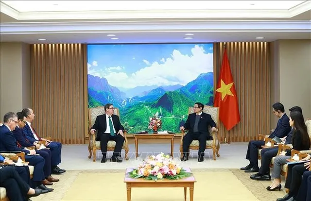 Prime Minister hosts Cuban Foreign Minister - Ảnh 1.