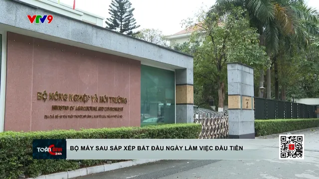 Bộ máy sau sắp xếp bắt đầu làm việc ngày đầu tiên