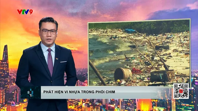 Phát hiện vi nhựa trong phổi chim