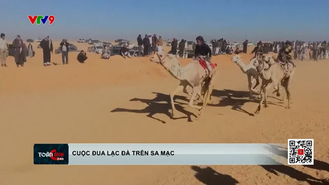 Đua lạc đà trên sa mạc