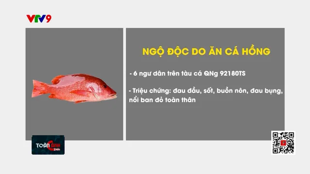 Cảnh báo: Ngộ độc cá hồng- cách nào phòng ngừa?