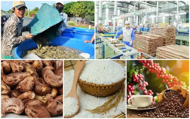 Xuất khẩu nông lâm thủy sản tăng mạnh, châu Á là thị trường lớn nhất