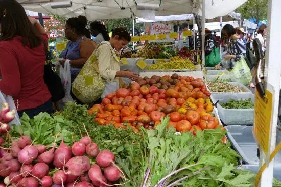 Mỹ cân nhắc miễn thuế nhập khẩu nông sản từ Mexico và Canada