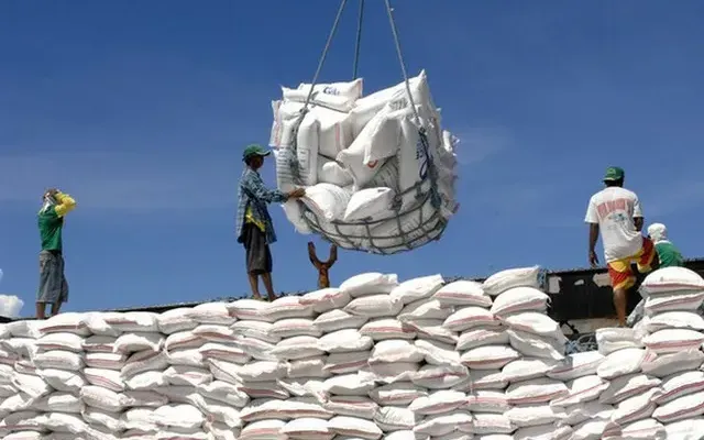 Giá gạo Ấn Độ thấp nhất trong gần 2 năm