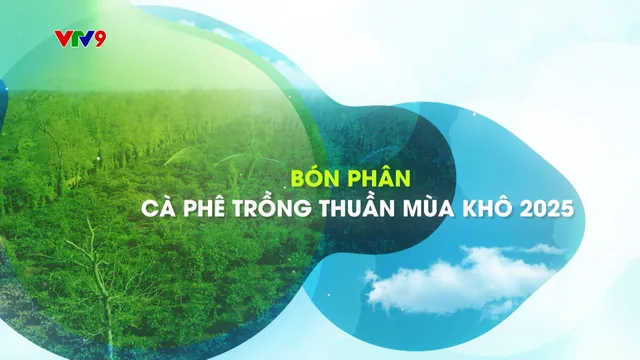 Canh tác thông minh - Số 10/2025: Bón cà phê trồng thuần mùa khô 2025