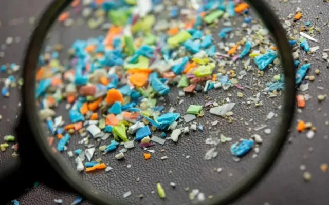 Cách đơn giản giúp giảm đến 90% nguy cơ hấp thụ vi nhựa vào cơ thể